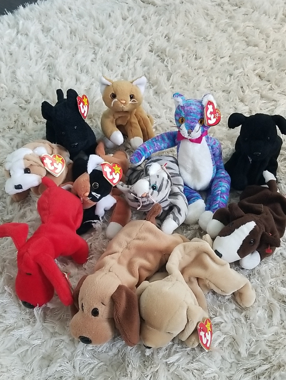 Ty Beanie Babies Lot -Dogs & Cats